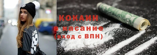 мдпв Богданович