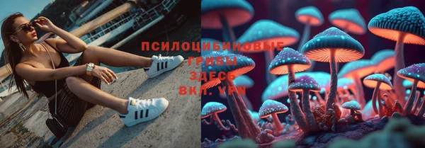 мдпв Богданович
