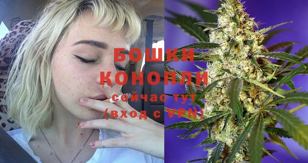 Альфа ПВП Богородск